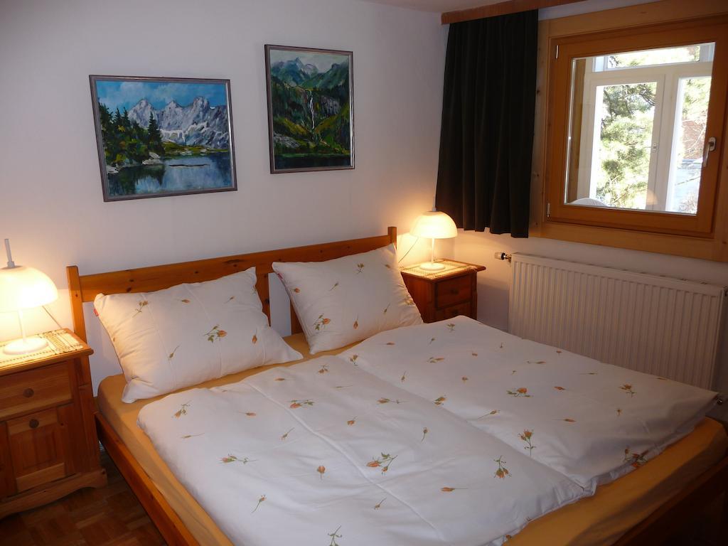 Haus Gradwohl Apartment Schladming Phòng bức ảnh